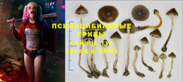 бошки Пересвет