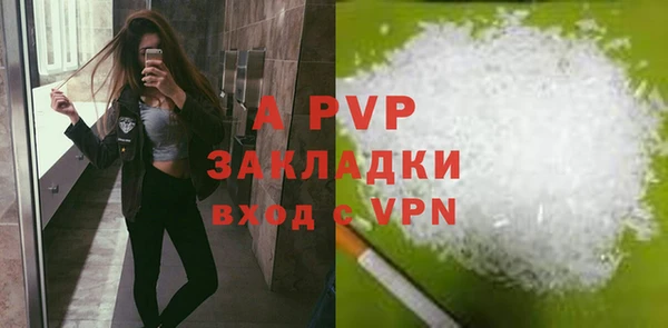 бошки Пересвет