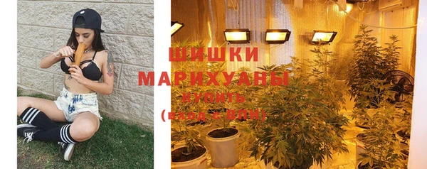 бошки Пересвет