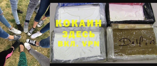 бошки Пересвет