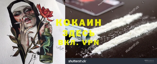 бошки Пересвет