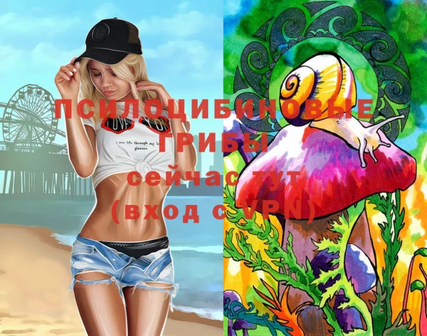 эйфоретик Пестово
